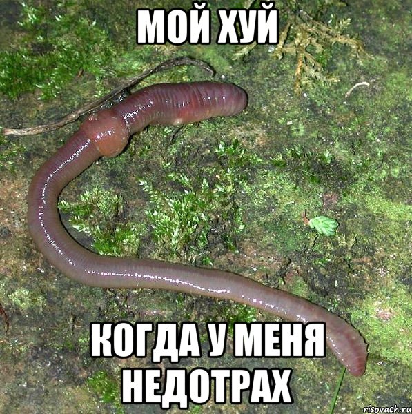 мой хуй когда у меня недотрах