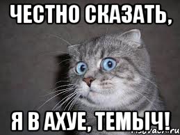 честно сказать, я в ахуе, темыч!