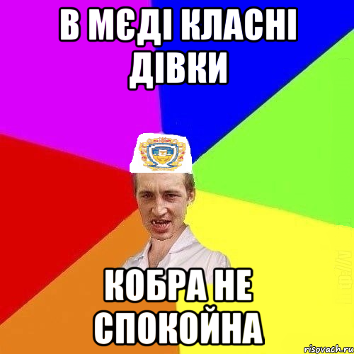 в мєді класні дівки кобра не спокойна, Мем Чоткий Паца Горбачевського