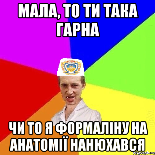 Мала, то ти така гарна чи то я формаліну на анатомії нанюхався, Мем Чоткий Паца Горбачевського