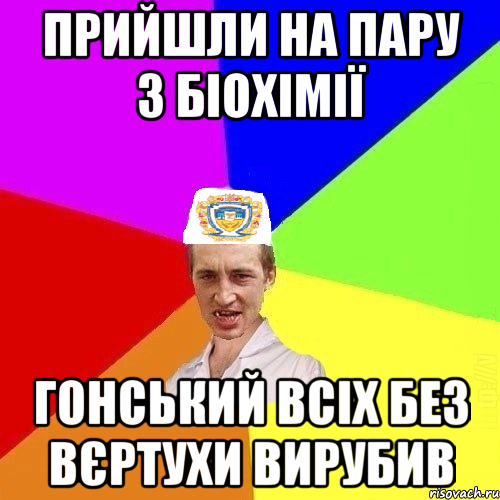 прийшли на пару з біохімії гонський всіх без вєртухи вирубив