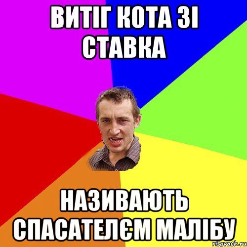 Витіг кота зі ставка називають спасателєм малібу, Мем Чоткий паца