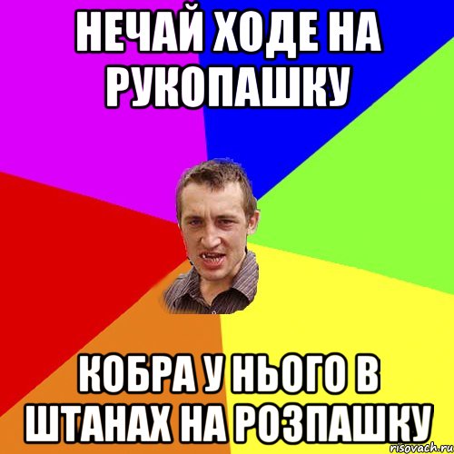 Нечай ходе на рукопашку Кобра у нього в штанах на розпашку, Мем Чоткий паца