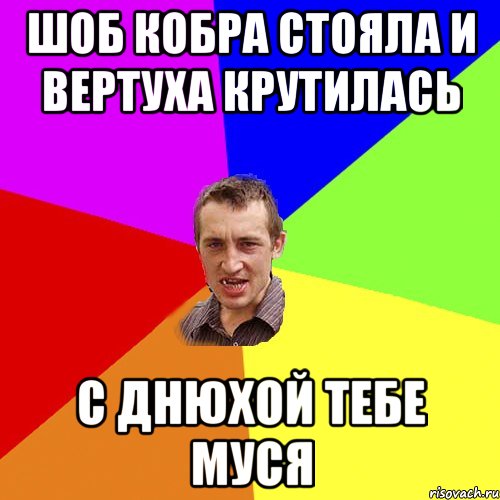 Шоб кобра стояла и Вертуха крутилась с днюхой тебе Муся, Мем Чоткий паца