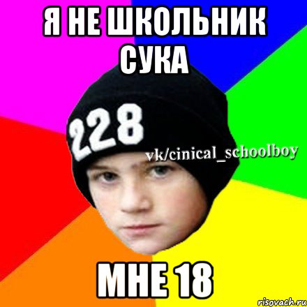 Я не школьник сука Мне 18, Мем  Циничный школьник 1