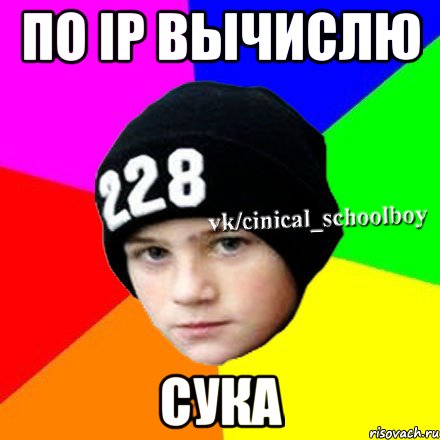 ПО IP ВЫЧИСЛЮ СУКА, Мем  Циничный школьник 1