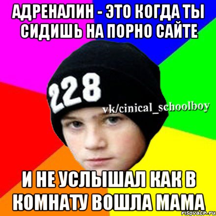 Адреналин - это когда ты сидишь на порно сайте И не услышал как в комнату вошла мама