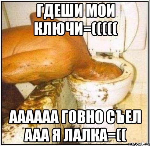 ГДЕШИ МОИ КЛЮЧИ=((((( АААААА ГОВНО СЪЕЛ ААА Я ЛАЛКА=((, Мем Дайвер