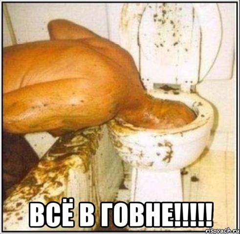  Всё в ГОВНЕ!!!!!, Мем Дайвер