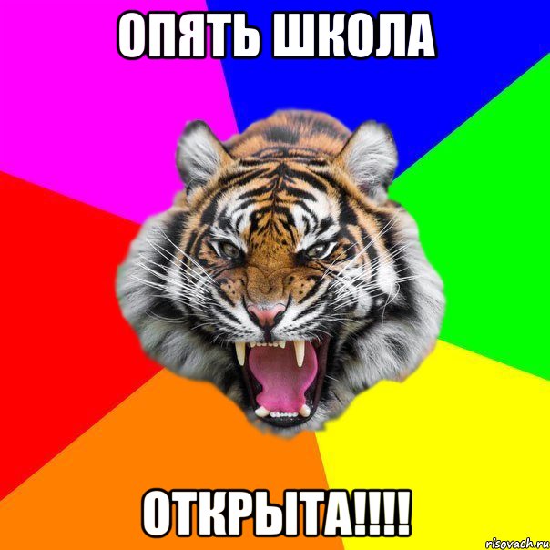 ОПЯТЬ ШКОЛА ОТКРЫТА!!!!, Мем  ДЕРЗКИЙ ТИГР