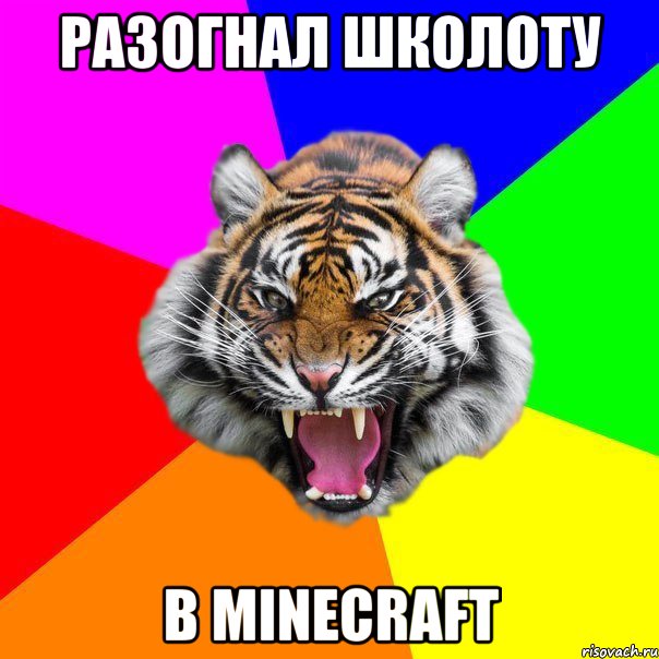 РАЗОГНАЛ ШКОЛОТУ В MINECRAFT, Мем  ДЕРЗКИЙ ТИГР