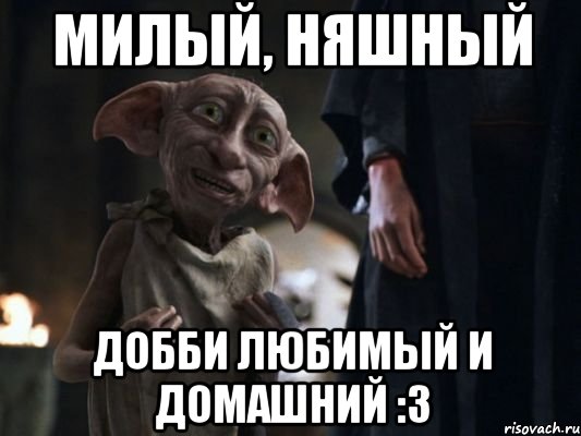 Милый, няшный Добби любимый и домашний :3, Мем   Добби