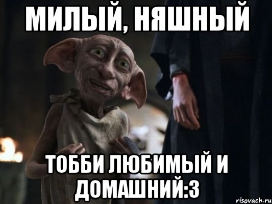 Милый, няшный Тобби любимый и домашний:3