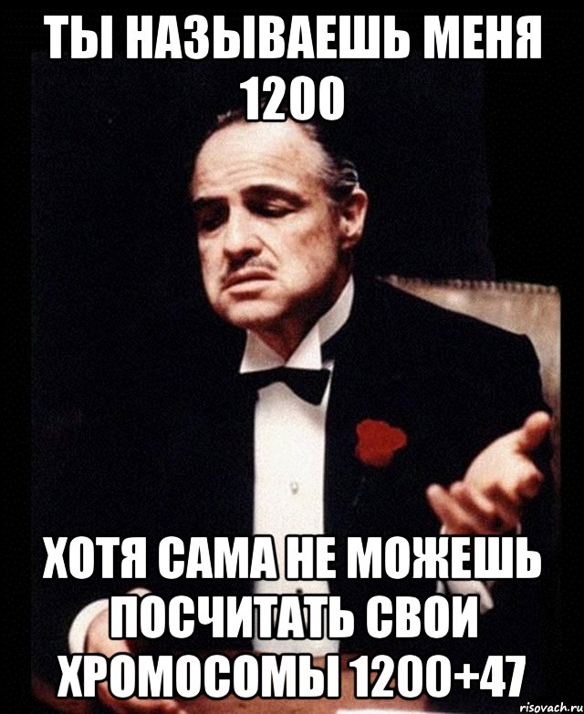 Ты называешь меня 1200 хотя сама не можешь посчитать свои хромосомы 1200+47