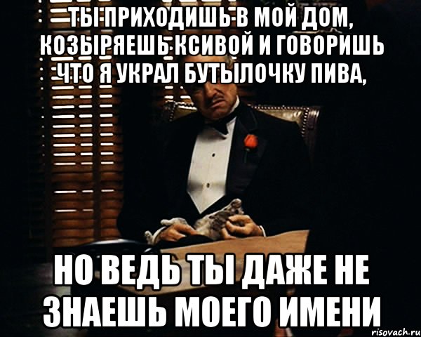 ты приходишь в мой дом, козыряешь ксивой и говоришь что я украл бутылочку пива, но ведь ты даже не знаешь моего имени, Мем Дон Вито Корлеоне