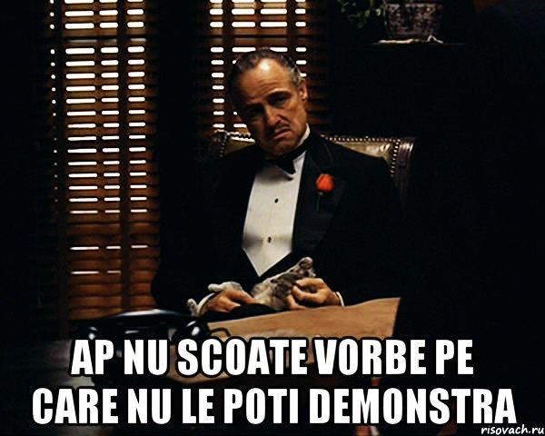  ap nu scoate vorbe pe care nu le poti demonstra, Мем Дон Вито Корлеоне