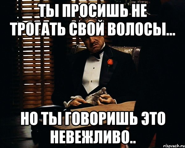 Ты просишь не трогать свой волосы... Но ты говоришь это невежливо.., Мем Дон Вито Корлеоне