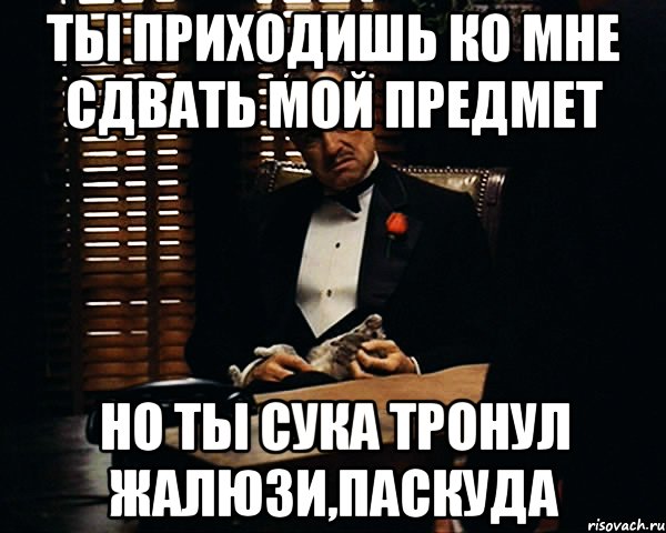 ты приходишь ко мне сдвать мой предмет но ты сука тронул жалюзи,паскуда, Мем Дон Вито Корлеоне