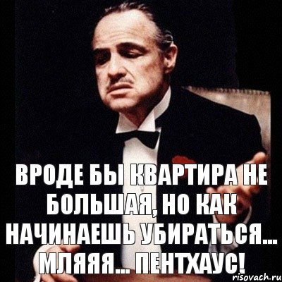 Вроде бы квартира не большая, но как начинаешь убираться... мляяя... пентхаус!, Комикс Дон Вито Корлеоне 1