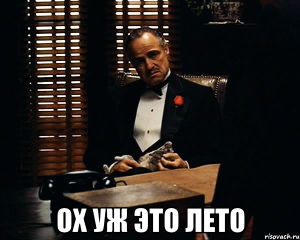  Ох уж это лето, Мем Дон Вито Корлеоне