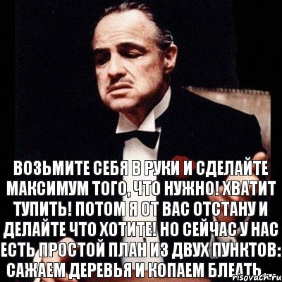 Возьмите себя в руки и сделайте МАКСИМУМ того, ЧТО НУЖНО! ХВАТИТ ТУПИТЬ! ПОТОМ Я ОТ ВАС ОТСТАНУ И ДЕЛАЙТЕ ЧТО ХОТИТЕ! НО СЕЙЧАС У НАС ЕСТЬ ПРОСТОЙ ПЛАН ИЗ ДВУХ ПУНКТОВ: САЖАЕМ ДЕРЕВЬЯ И КОПАЕМ БЛЕАТЬ...., Комикс Дон Вито Корлеоне 1