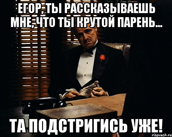 Егор, ты рассказываешь мне, что ты крутой парень... Та подстригись уже!, Мем Дон Вито Корлеоне