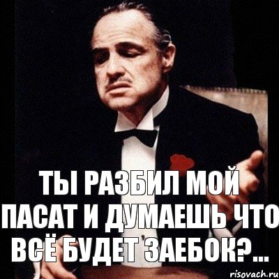 Ты разбил мой пасат и думаешь что всё будет заебок?..., Комикс Дон Вито Корлеоне 1