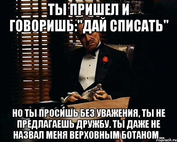 Ты пришел и говоришь:"Дай списать" Но ты просишь без уважения, ты не предлагаешь дружбу. Ты даже не назвал меня верховным ботаном..., Мем Дон Вито Корлеоне