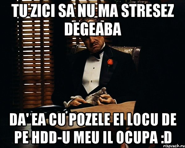 Tu zici sa nu ma stresez degeaba Da' ea cu pozele ei locu de pe HDD-u meu il ocupa :D, Мем Дон Вито Корлеоне