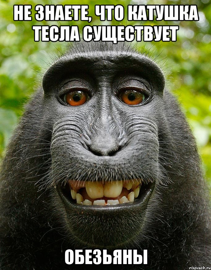 не знаете, что катушка тесла существует обезьяны, Мем  Довольная обезьяна