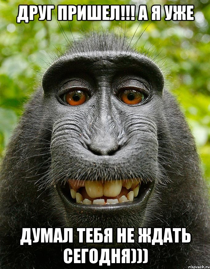 друг пришел!!! а я уже думал тебя не ждать сегодня))), Мем  Довольная обезьяна