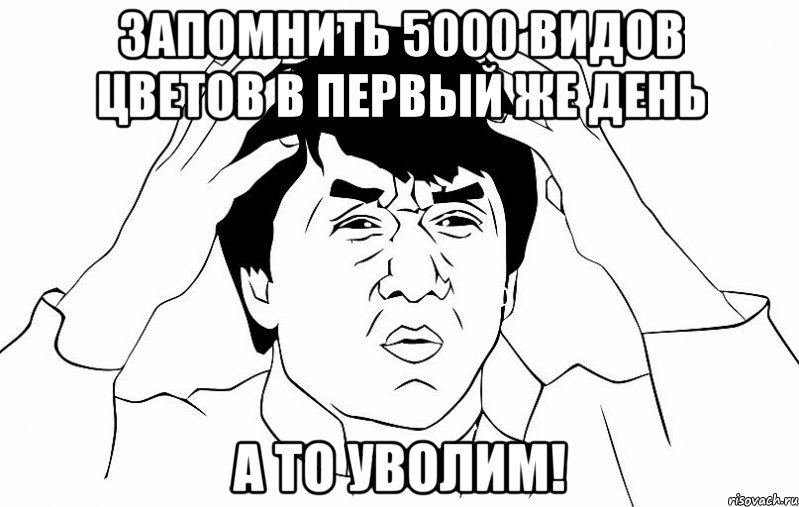 Запомнить 5000 видов цветов в первый же день А то уволим!, Мем ДЖЕКИ ЧАН