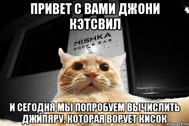 привет с вами джони кэтсвил и сегодня мы попробуем вычислить джипяру, которая ворует кисок, Мем   Джонни Кэтсвилл