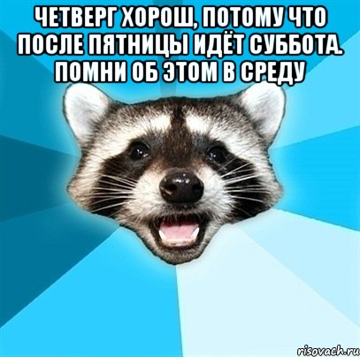 Четверг хорош, потому что после пятницы идёт суббота. Помни об этом в среду , Мем Енот-Каламбурист