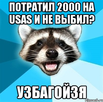 Потратил 2000 на Usas и не выбил? Узбагойзя, Мем Енот-Каламбурист