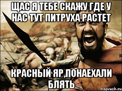 Щас я тебе скажу где у нас тут питруха растет Красный Яр,понаехали блять, Мем Это Спарта