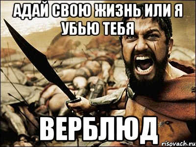 АДАЙ СВОЮ ЖИЗНЬ ИЛИ Я УБЬЮ ТЕБЯ ВЕРБЛЮД, Мем Это Спарта