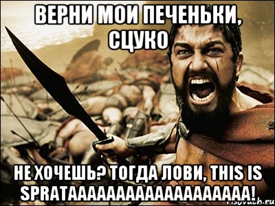 Верни мои печеньки, сцуко Не хочешь? тогда лови, THIS IS SPRATAAAAAAAAAAAAAAAAAAA!, Мем Это Спарта