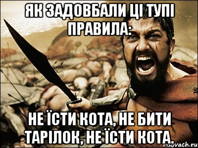 Як задовбали ці тупі правила: не їсти кота, не бити тарілок, не їсти кота., Мем Это Спарта