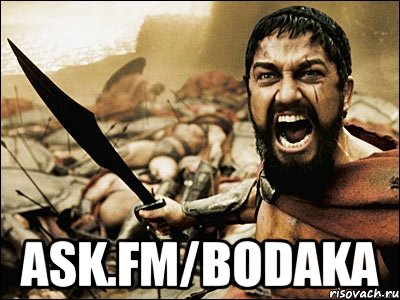  ask.fm/bodaka, Мем Это Спарта