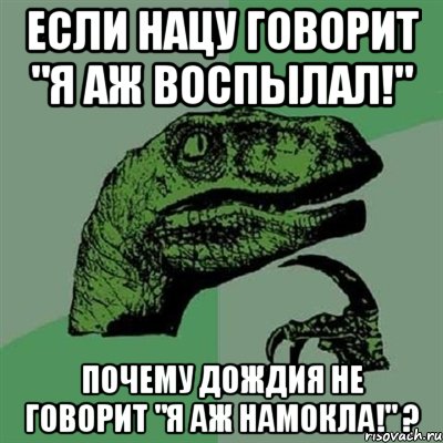 Если Нацу говорит "Я аж воспылал!" Почему Дождия не говорит "Я аж намокла!" ?, Мем Филосораптор