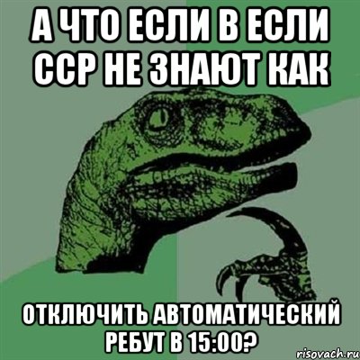 а что если в если CCP не знают как отключить автоматический ребут в 15:00?, Мем Филосораптор