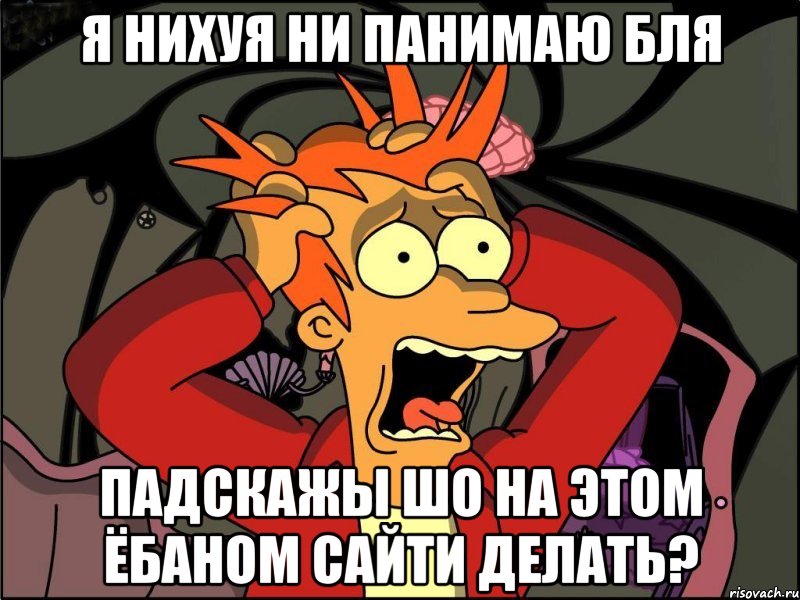 я нихуя ни панимаю бля падскажы шо на этом ёбаном сайти делать?, Мем Фрай в панике