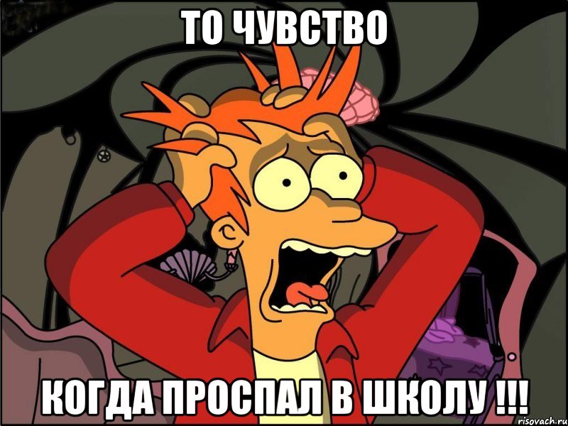 ТО ЧУВСТВО КОГДА ПРОСПАЛ В ШКОЛУ !!!, Мем Фрай в панике