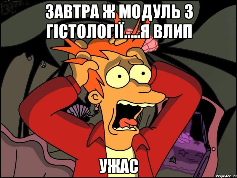 Завтра ж модуль з гістології.....я влип Ужас, Мем Фрай в панике