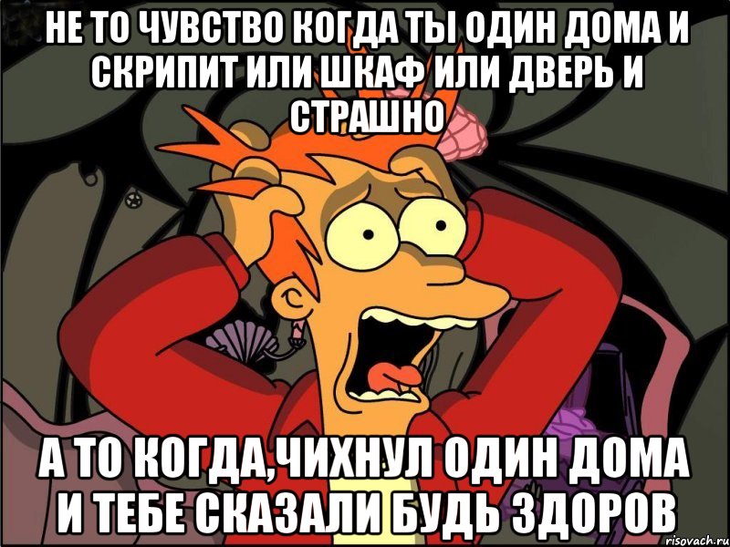 не то чувство когда ты один дома и скрипит или шкаф или дверь и страшно а то когда,чихнул один дома и тебе сказали будь здоров, Мем Фрай в панике