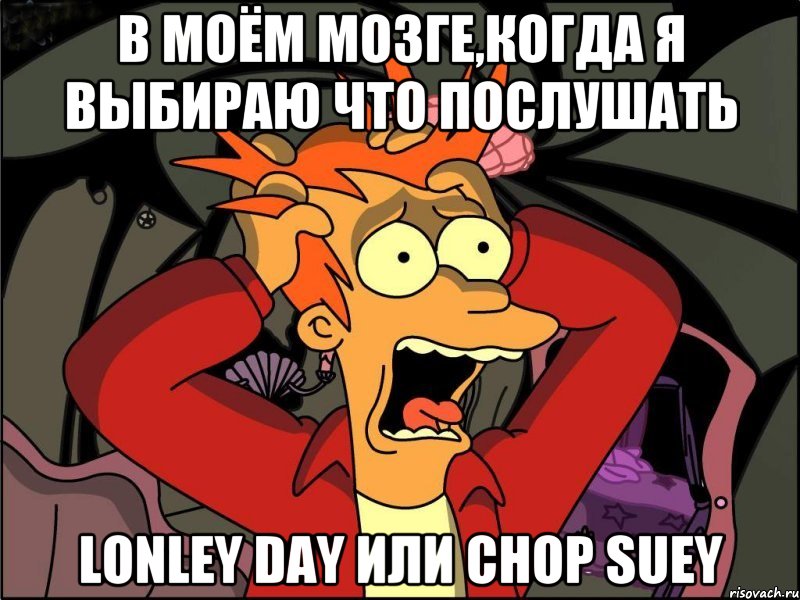 В моём мозге,когда я выбираю что послушать Lonley Day или Chop Suey, Мем Фрай в панике