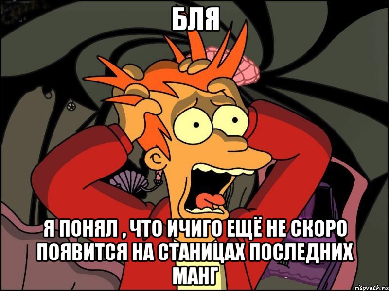 бля я понял , что ичиго ещё не скоро появится на станицах последних манг, Мем Фрай в панике