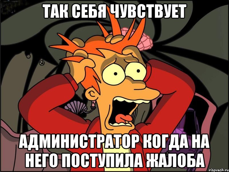 Так себя чувствует Администратор когда на него поступила жалоба, Мем Фрай в панике