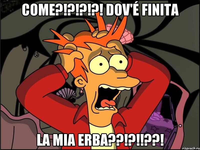 come?!?!?!?! dov'é finita la mia erba??!?!!??!, Мем Фрай в панике